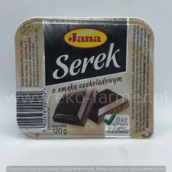 Serek homogenizowany czekoladowy 120g JANA